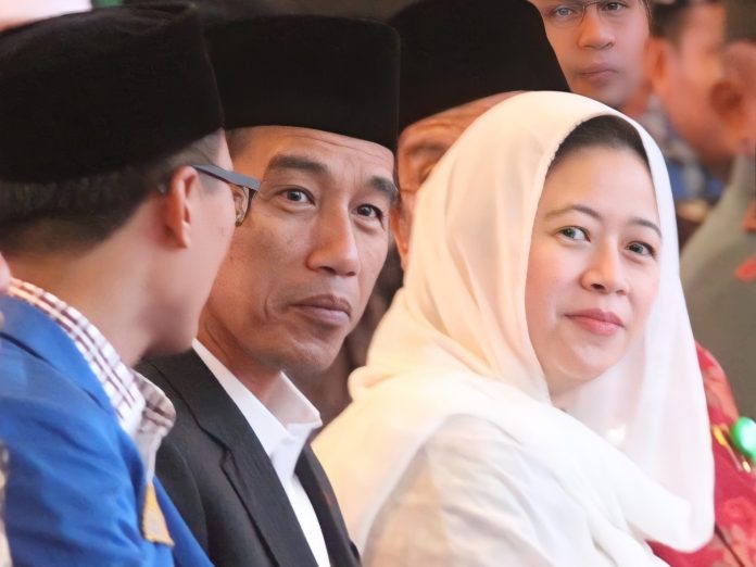 Puan Maharani dalam acara PMII