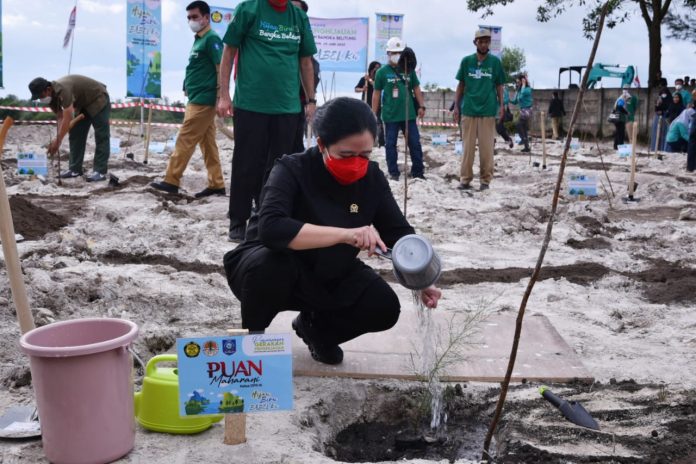 Puan